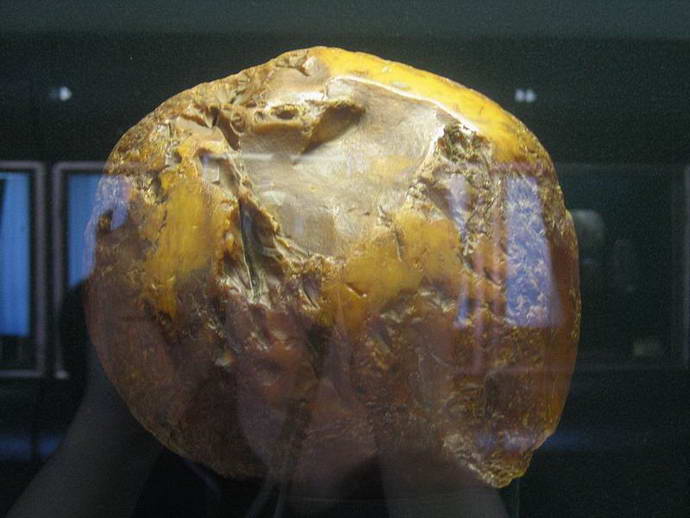 muzej-jantarja
