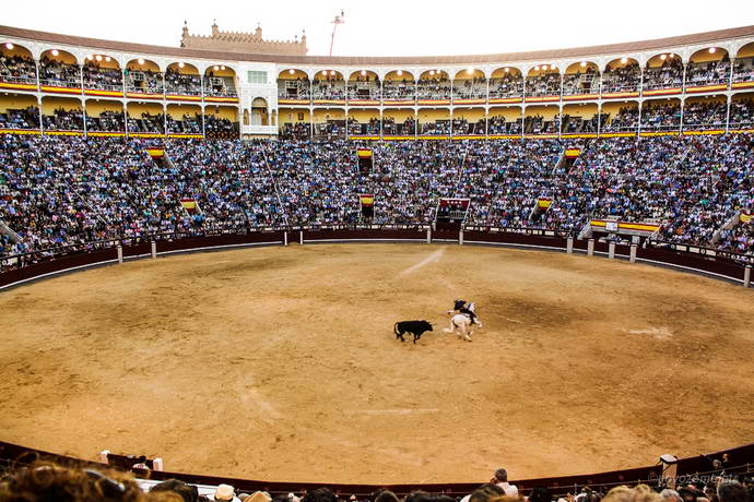 arena-las-ventas