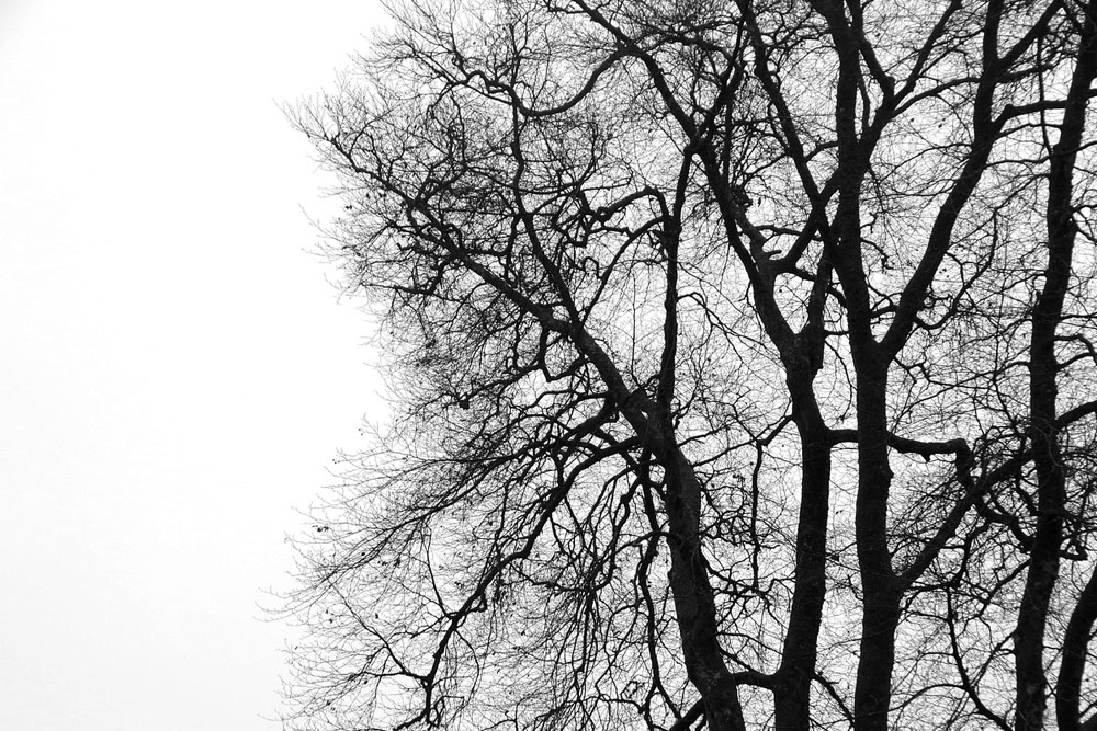 Наступит ли в декабре зима? Погода в Беларуси