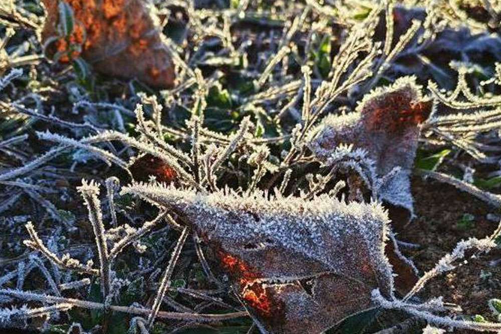 Поздняя осень или ранняя зима? Какой будет погода в Беларуси на предстоящей неделе Погода в Беларуси