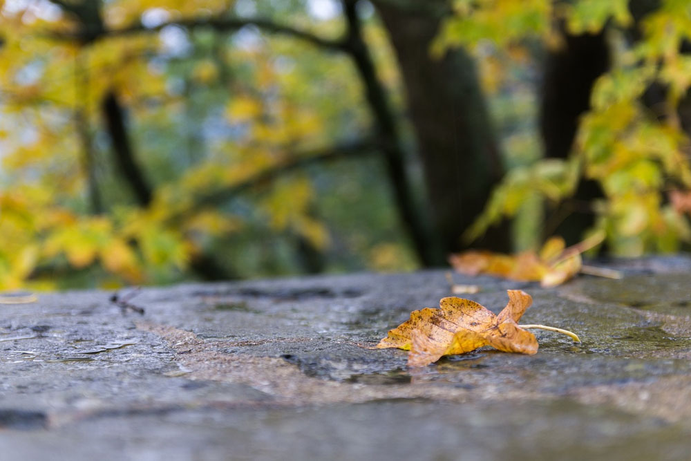 Погода в Беларуси