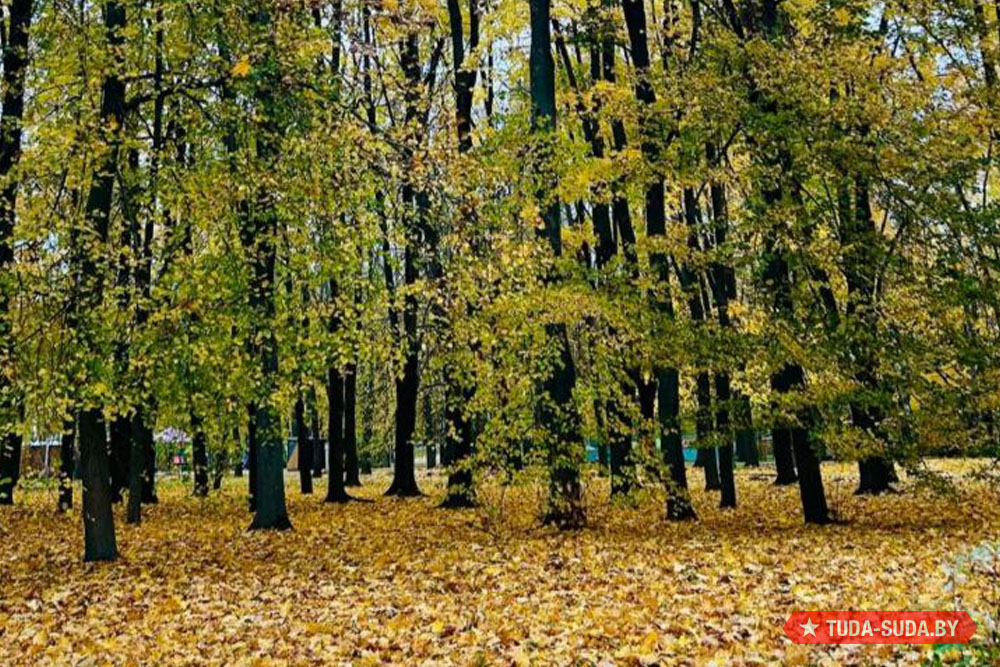 Погода в Беларуси