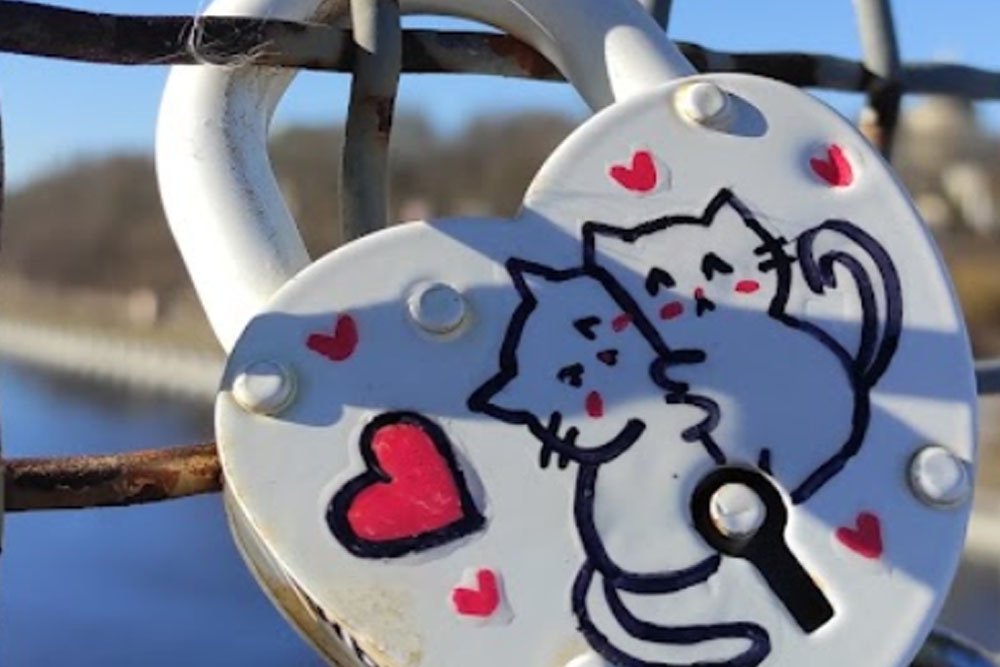 Мост через Сож в Гомеле