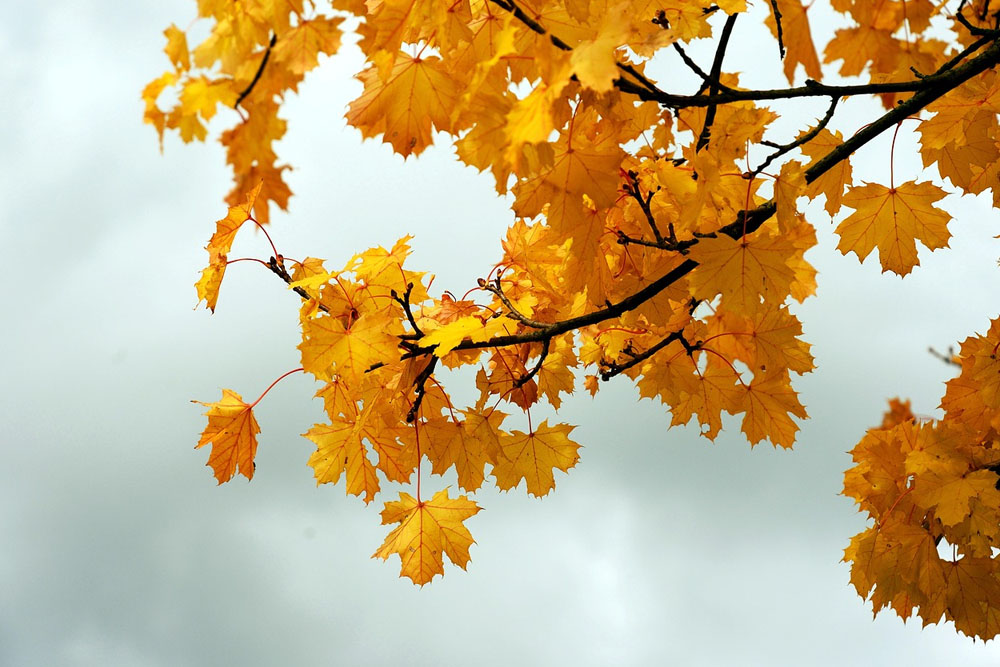 Погода в Беларуси