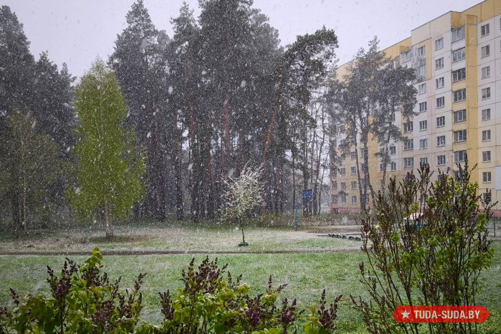 Погода в Беларуси