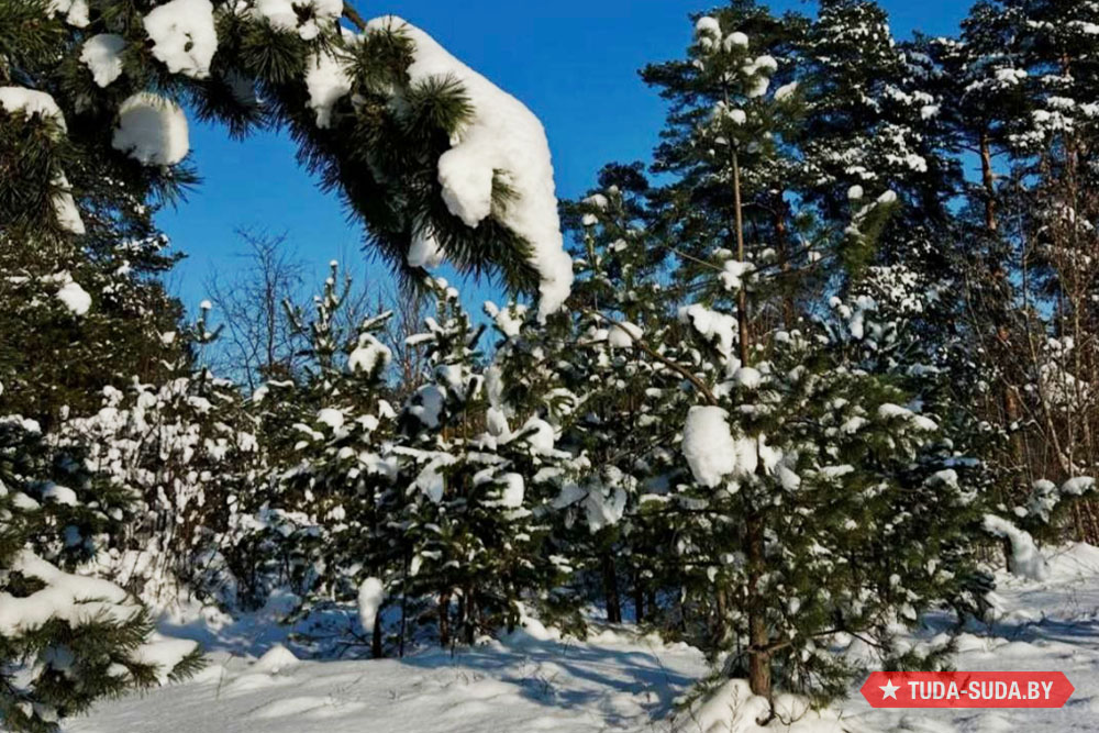 Погода в Беларуси