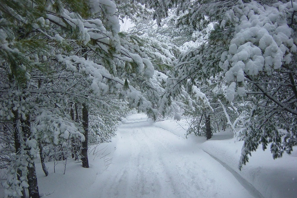 Синоптики обещают на неделе морозы ниже климатической нормы и снегопады Погода в Беларуси